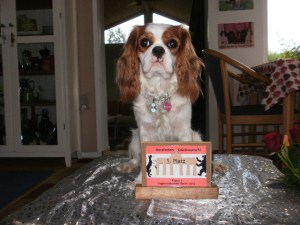 1. plads klasse 1 German Open 2012