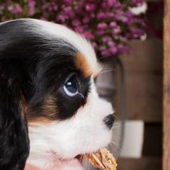 577234_400704836661901_1378304773_n