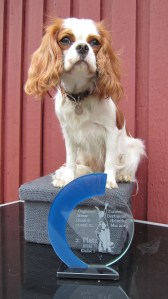 Jam med sin velfortjente præmie i HTM 1 i Dortmund