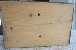 1801045_654157234629933_347405473_n