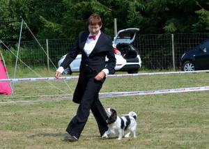 10463861_10152538163458847_1513795694669432304_n